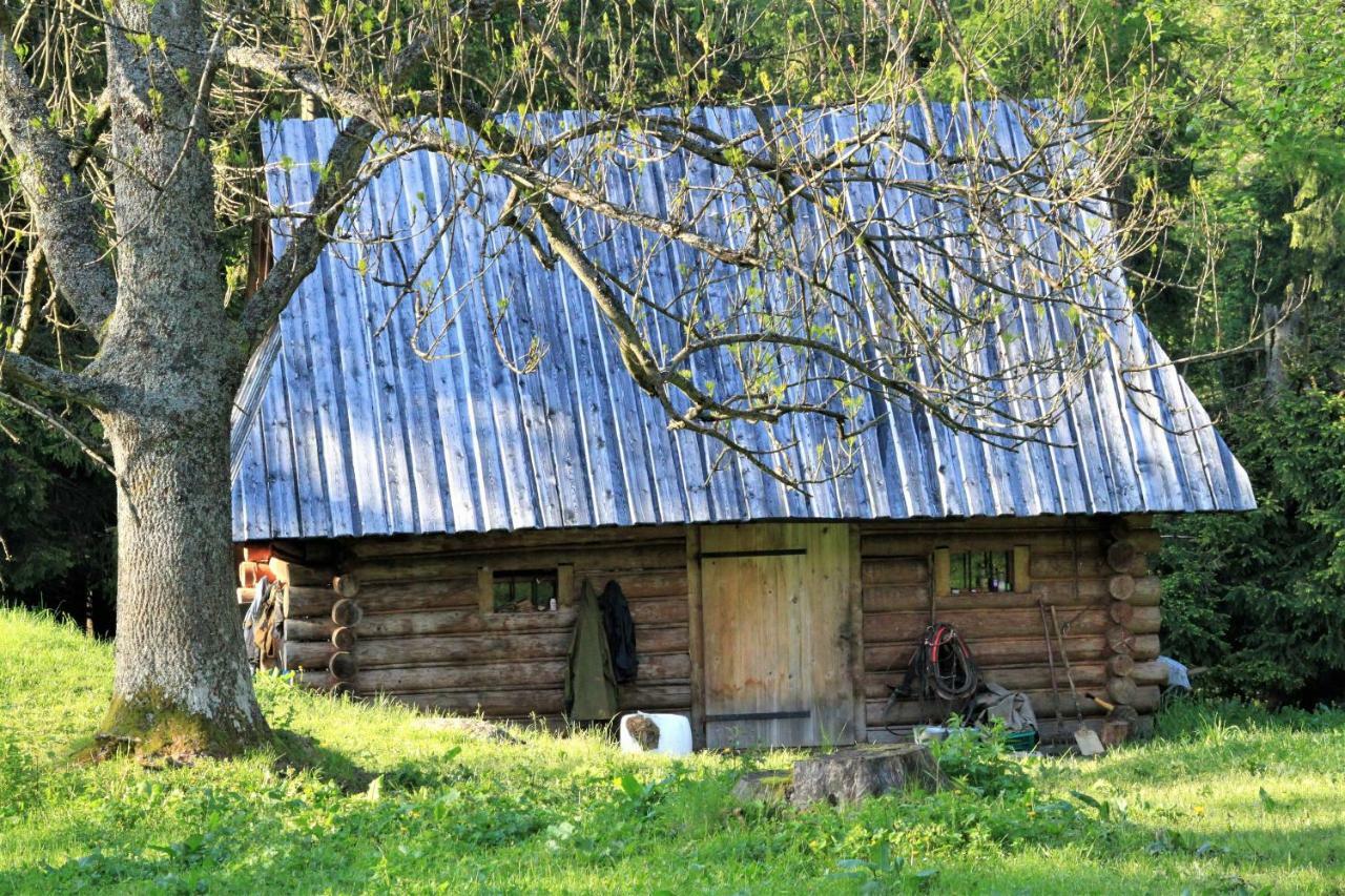 Alloggio in famiglia U Stachoniów Zakopane